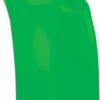 Paraschizzi KXF250/450 - immagine 2